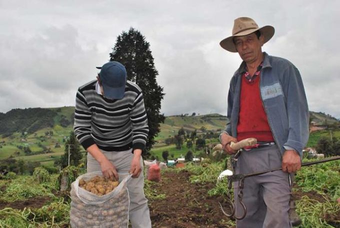 AF Colombia.jpg