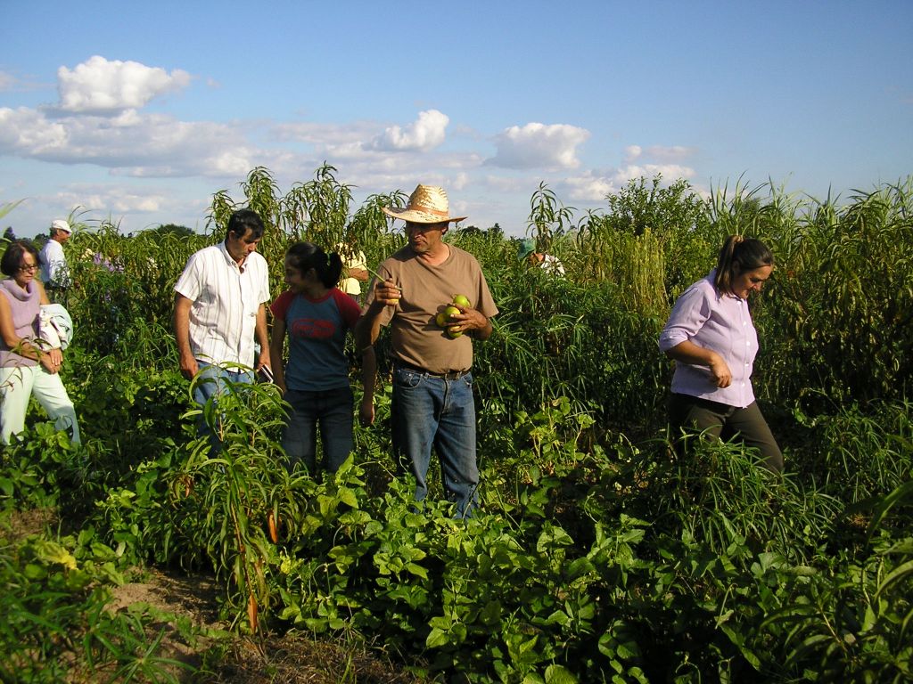 Chacra Agroecológica Bella Vista.JPG