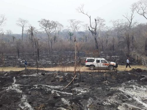 INCENDIOS FORESTALES.jpg