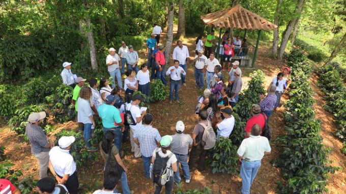 Mecanismo de Bosques y Fincas - Foto FAO (1).jpg