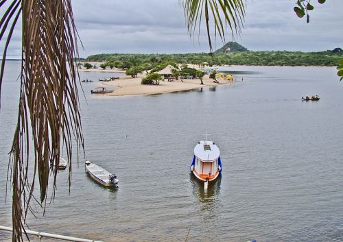 Selva brasil.jpg