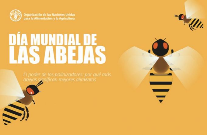 abejas.jpg