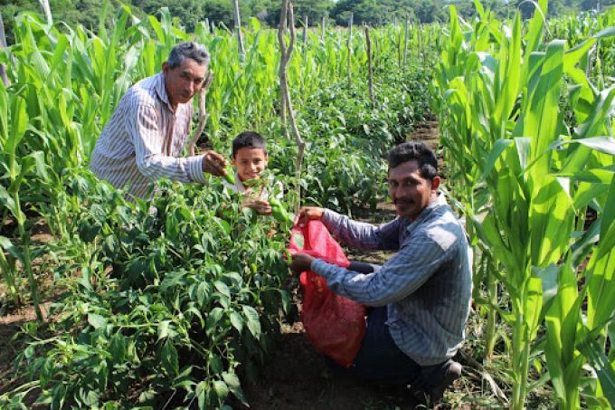 agricultura familiar.jpg