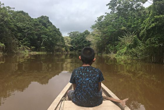 amazonas-colombia.jpg