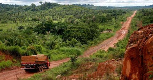 amazonia brasil.jpg