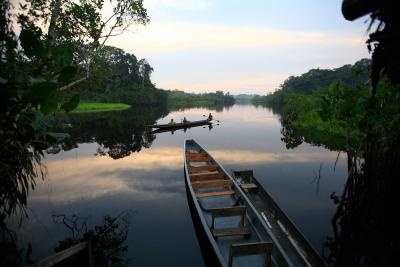 amazonia ecuador.jpg