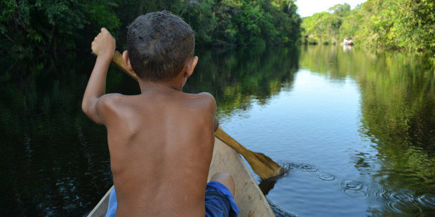 amazonia venezuelaa.jpg