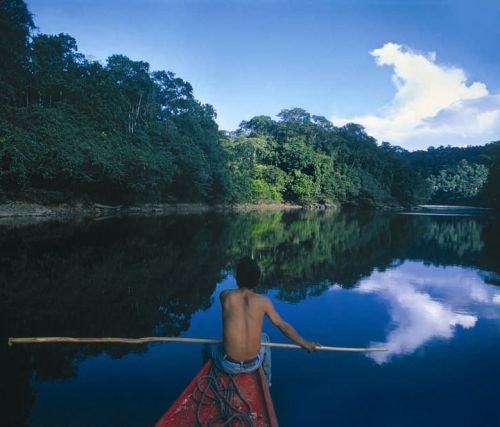 amazonia-peruana.jpg