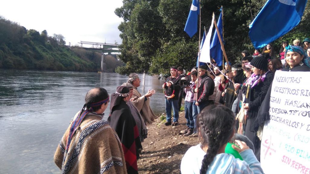 mapuche 1.jpg