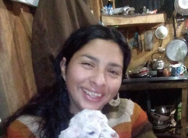 mapuche 3.jpg