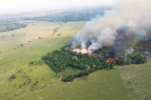 foto_deforesta_amazonia_1519763594.jpg