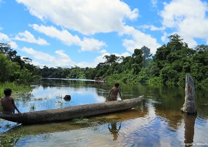 orpia-amazonia.jpg