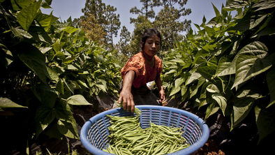 Guatemala indigenas.jpg