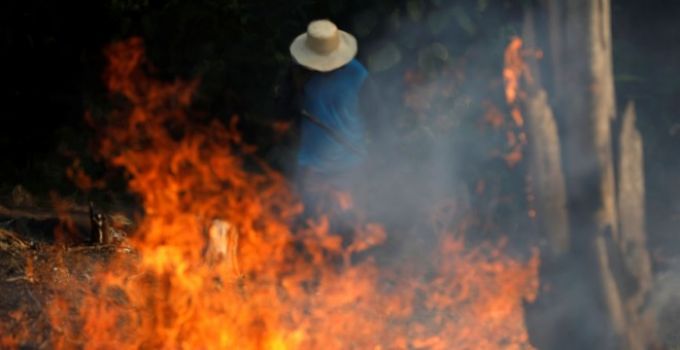 amazonas incendcios.jpg