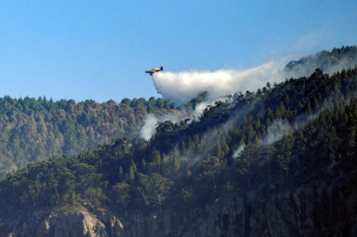 amazonia en llamas.jpg