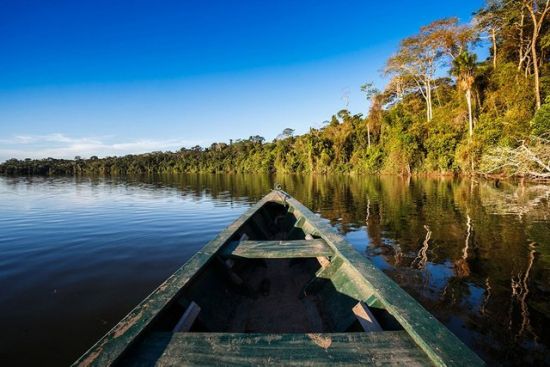 amazonia venezuela.jpg