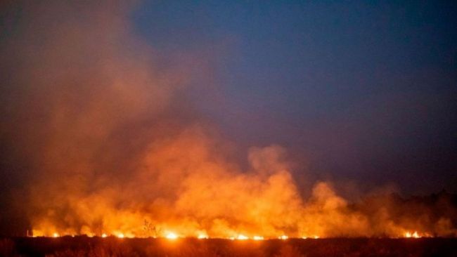 incendios amazonia 1109.jpg