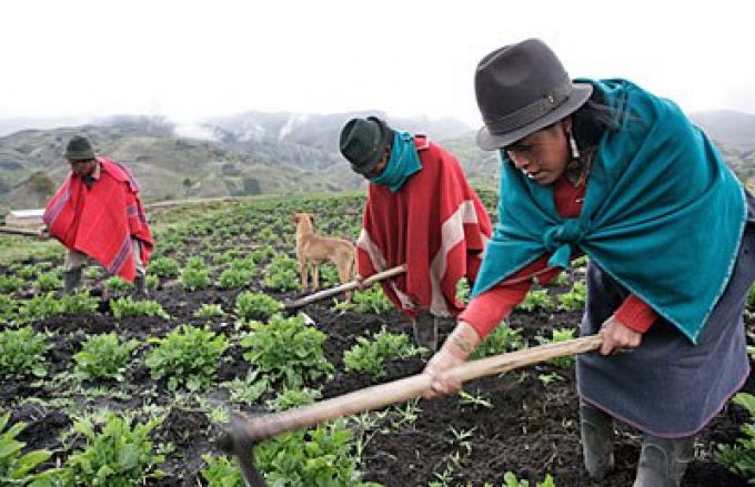 agricultura familiar.jpg