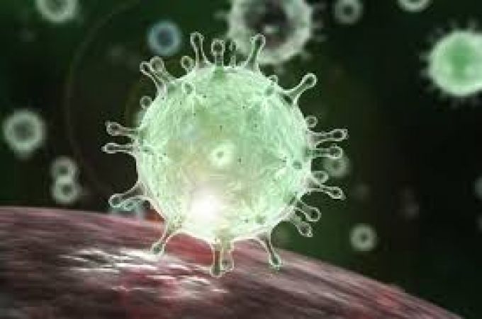 coronavirus.jpg