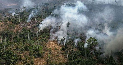 amazonia boliviana.jpg