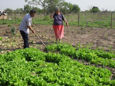 agricultura familiar INCUPO.jpg