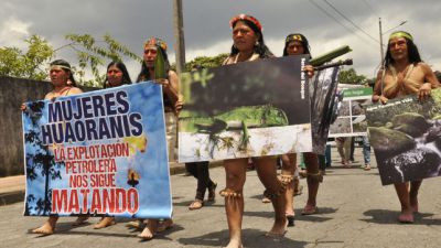 Cientos-Amazonia-Ecuador.jpg