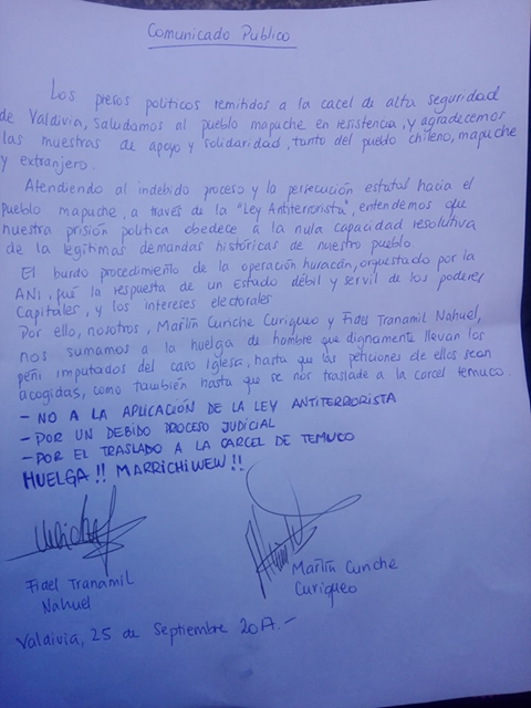 manifiesto mapucha.png