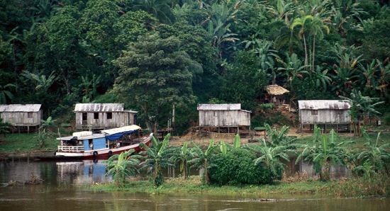 amazonia bolivia.jpg