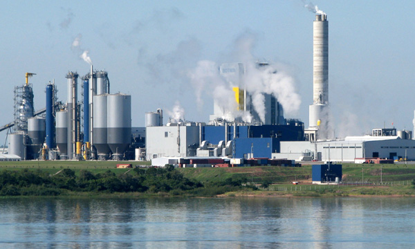 foto fabrica de celulosa.jpg