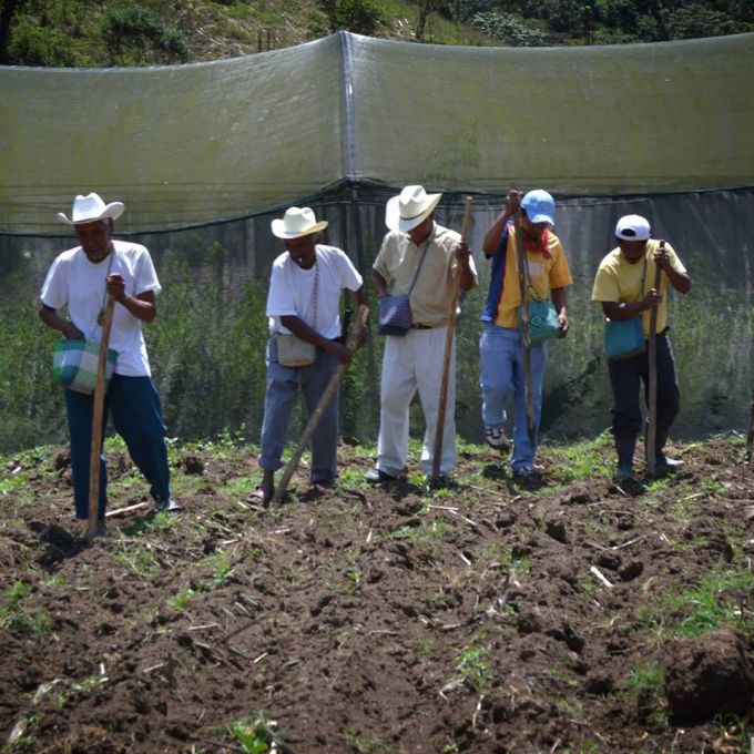 legua y cultura.jpg