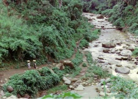 rio ceniza.jpg