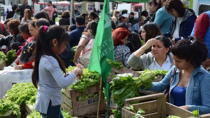 alimentazo-1024x575.jpg