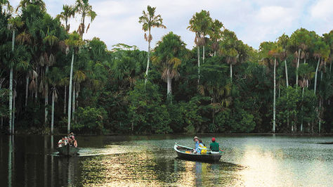 amazonia bolivia.jpg