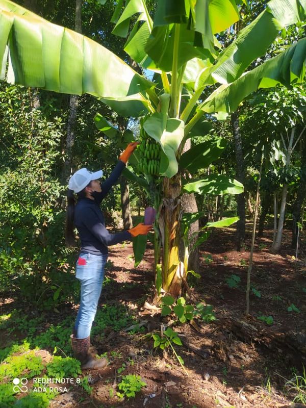 CECTEC (Centro de Educación, Capacitación y Tecnología Campesina).jpg