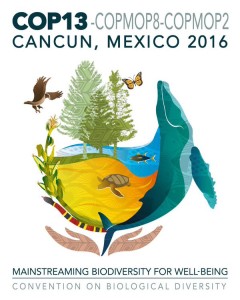 mexico foro cop 13.jpg