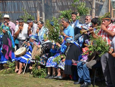 chile medicina mapuche.jpg