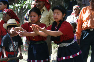 guatemala unidad familiar.jpg