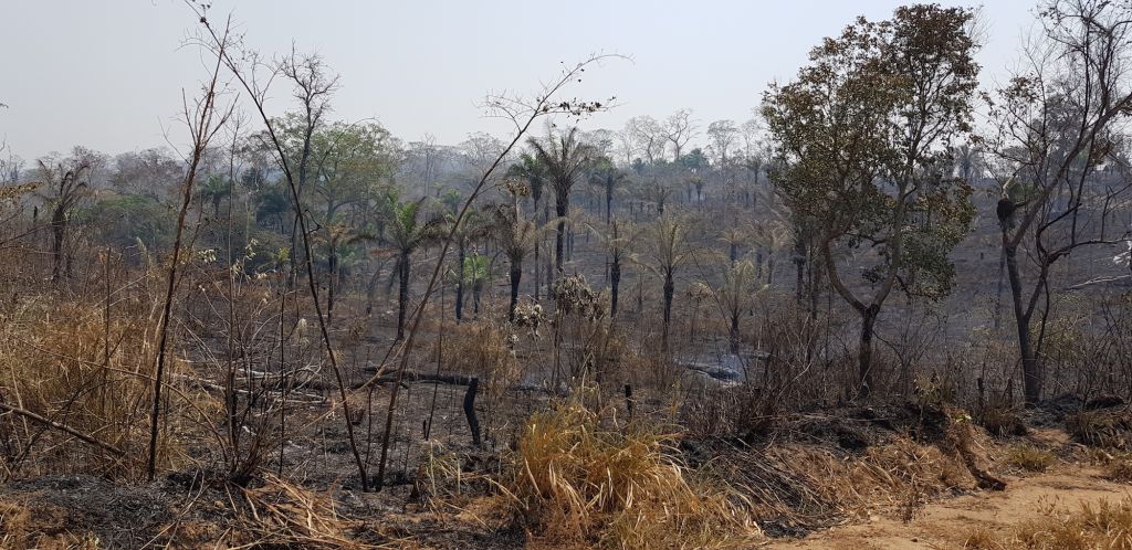 incendios y desafios 01.jpg