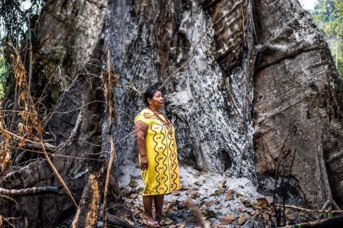 indigenas-amazonia.jpg