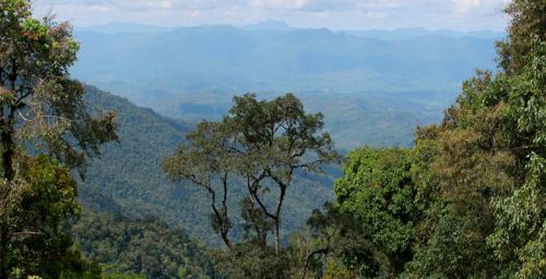 reserva-de-la-biosfera-pilon-lajas.jpg