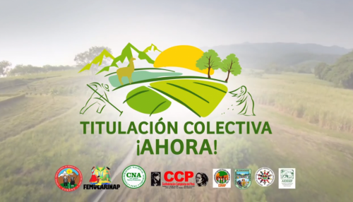 titulacioncoleectivapng.png